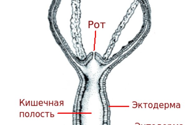 Кракен онион зеркала зеркало