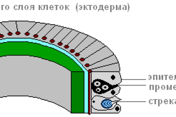 Зайти на кракен рабочее зеркало