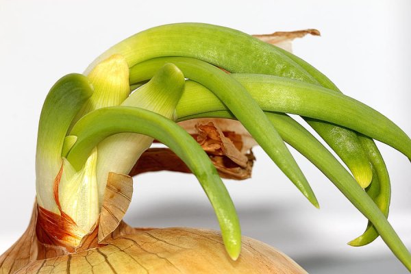 Кракен сайт наркота